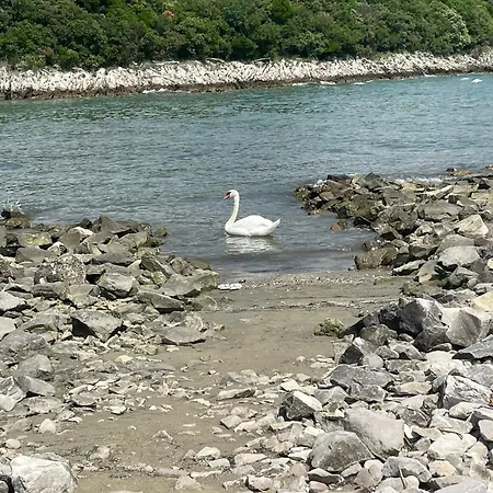 Διαμέρισμα Casa Camilla