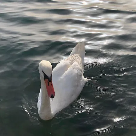 Casa Camilla Διαμέρισμα *