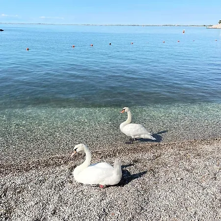 公寓 Casa Camilla 杜伊诺