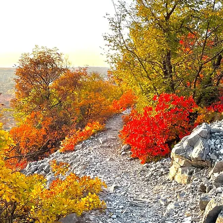 公寓 Casa Camilla 杜伊诺