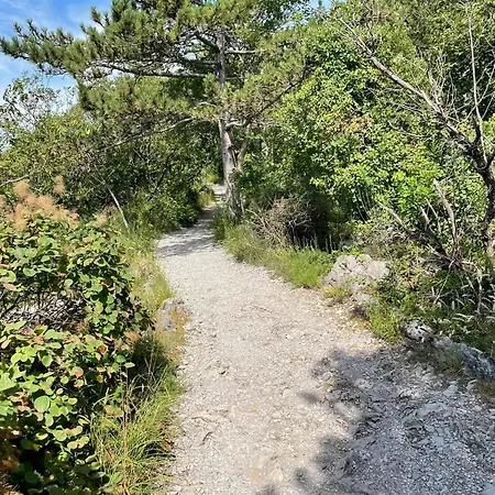 Casa Camilla 杜伊诺