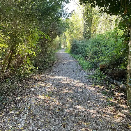 公寓 Casa Camilla 杜伊诺