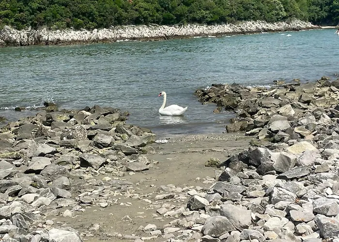 Apartamento Casa Camilla