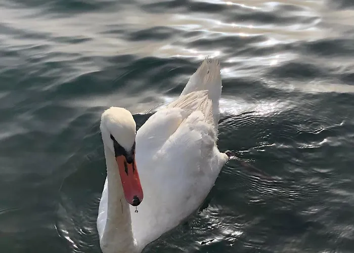 Casa Camilla Apartamento *